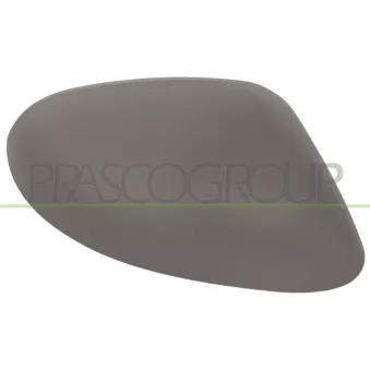 Revêtement, rétroviseur extérieur PRASCO LA0027413