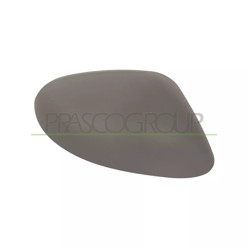Revêtement, rétroviseur extérieur PRASCO LA0027413