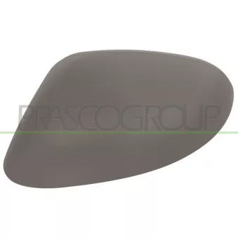 Revêtement, rétroviseur extérieur PRASCO LA0027414