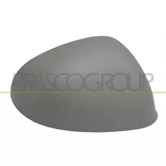 Revêtement, rétroviseur extérieur PRASCO LA0037433