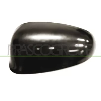 Revêtement, rétroviseur extérieur PRASCO LA0047404