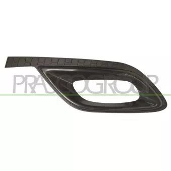 Cadre, projecteur antibrouillard PRASCO LA4021242
