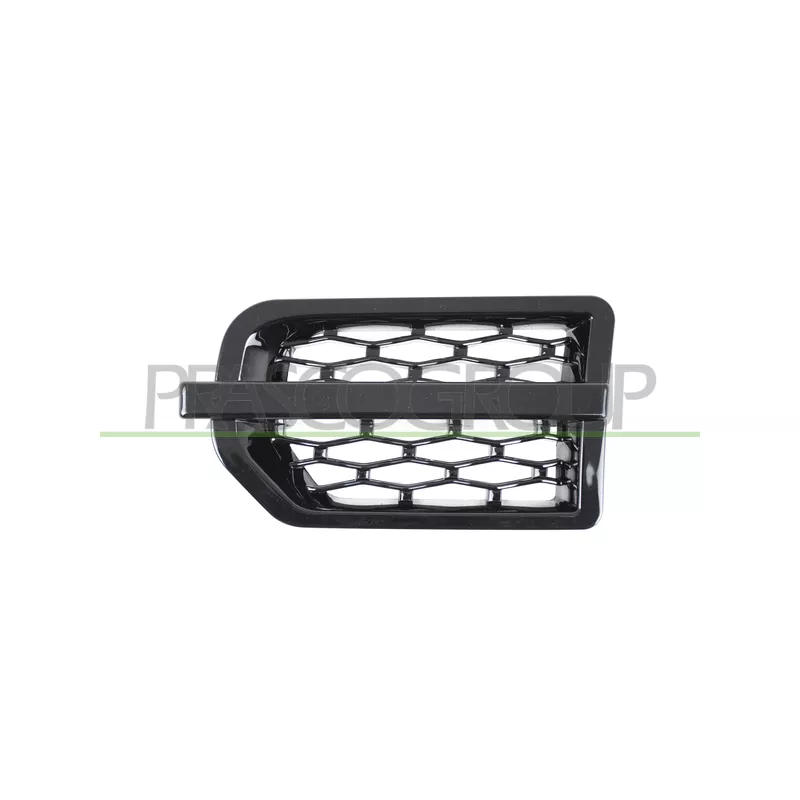 Baguette et bande protectrice, aile avant gauche PRASCO LR0301404