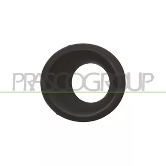 Projecteur antibrouillard PRASCO LR0321250
