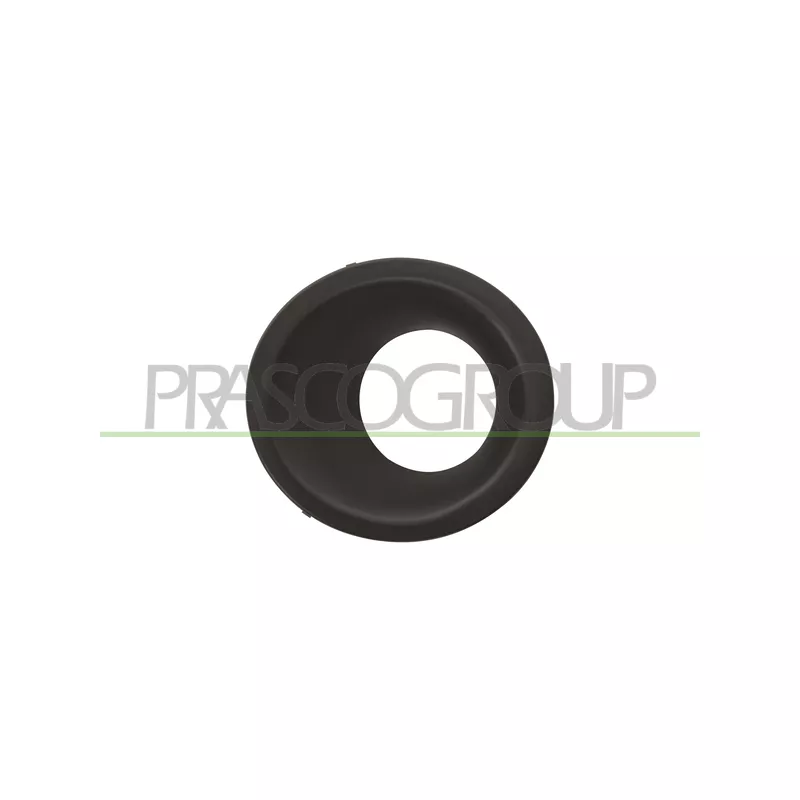Projecteur antibrouillard PRASCO LR0321250