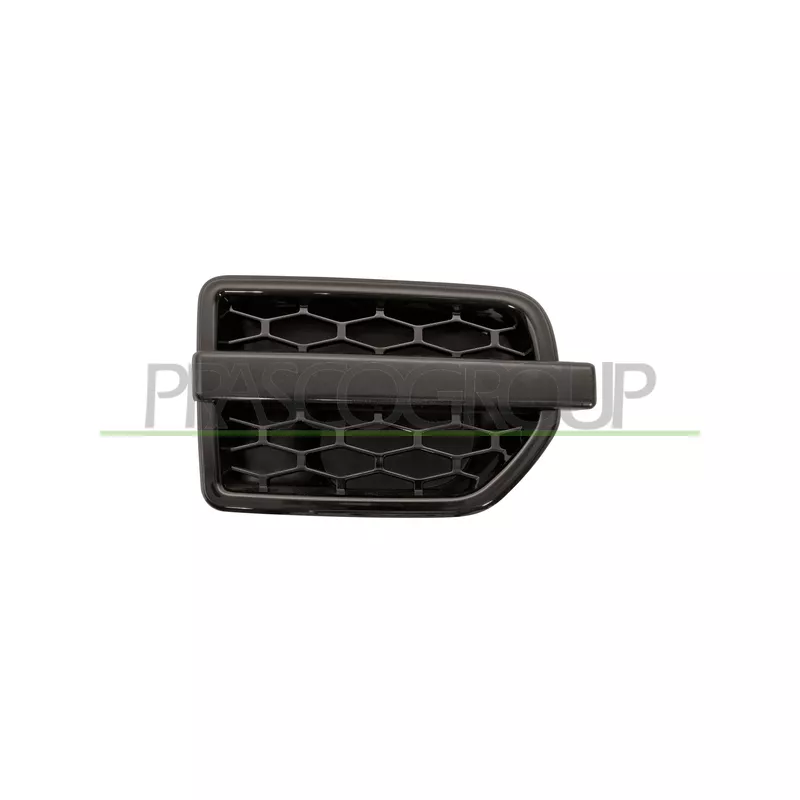 Baguette et bande protectrice, aile avant droit PRASCO LR0321413