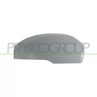 Revêtement, rétroviseur extérieur PRASCO LR0347413