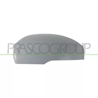 Revêtement, rétroviseur extérieur PRASCO LR0347414