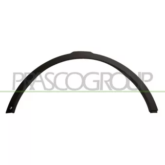 Baguette et bande protectrice, aile avant gauche PRASCO LR7001582