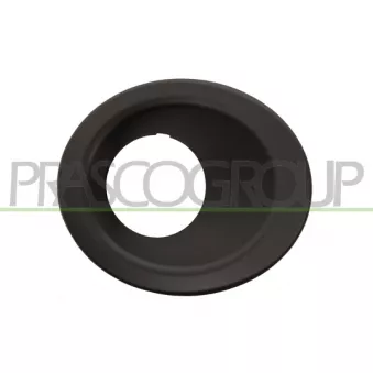 Projecteur antibrouillard PRASCO LR7181249