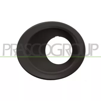 Projecteur antibrouillard PRASCO LR7181250