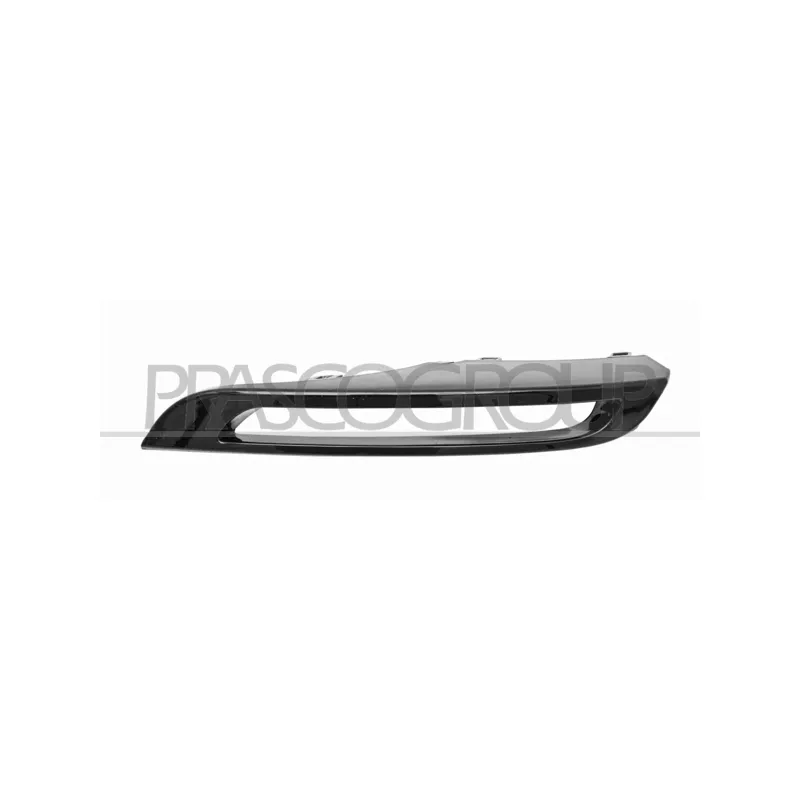 Cadre, projecteur antibrouillard PRASCO LR7501241