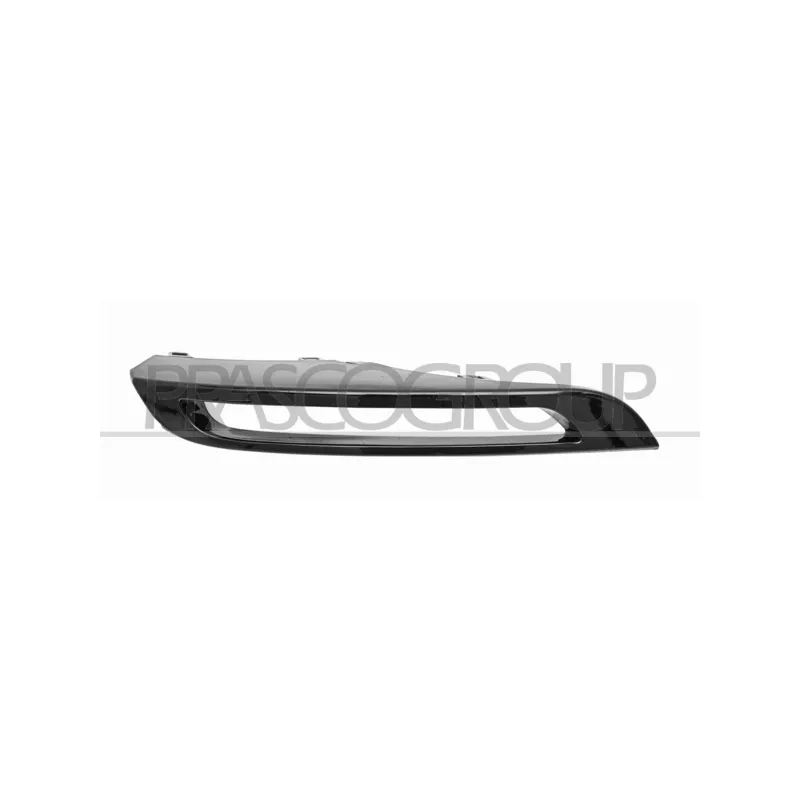 Cadre, projecteur antibrouillard PRASCO LR7501242
