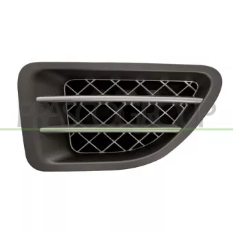 Baguette et bande protectrice, aile avant droit PRASCO LR8001403
