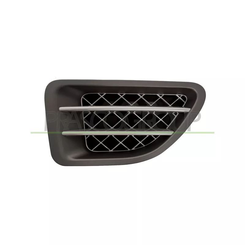 Baguette et bande protectrice, aile avant droit PRASCO LR8001403