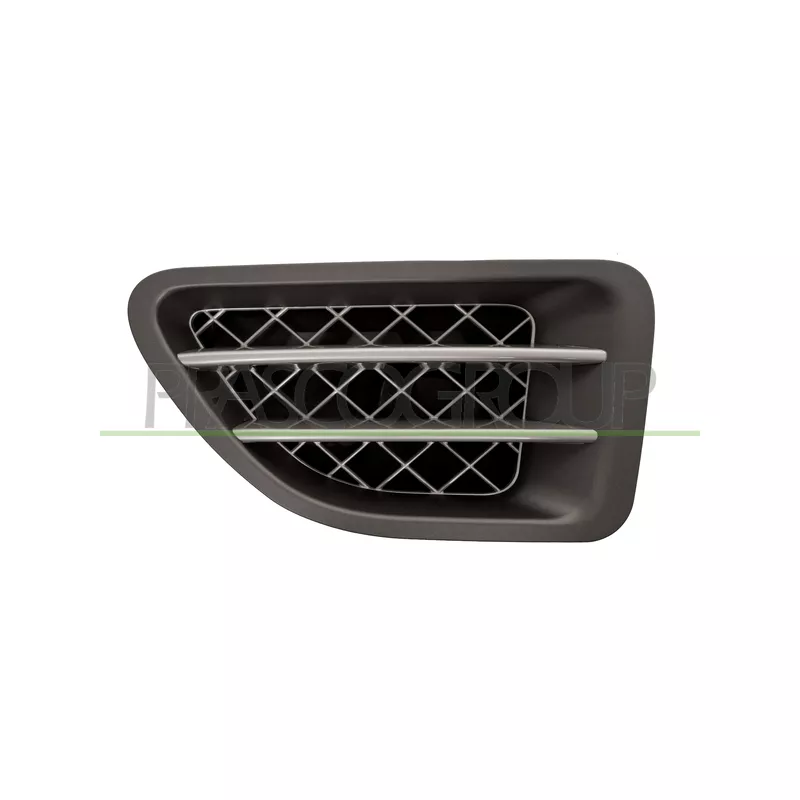 Baguette et bande protectrice, aile avant gauche PRASCO LR8001404