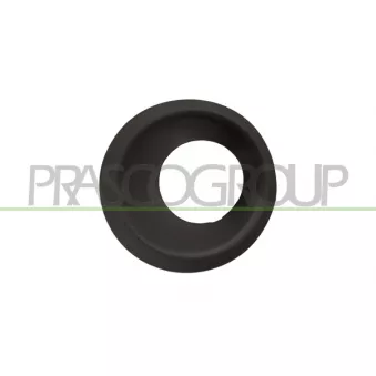 Cadre, projecteur antibrouillard PRASCO LR8021250