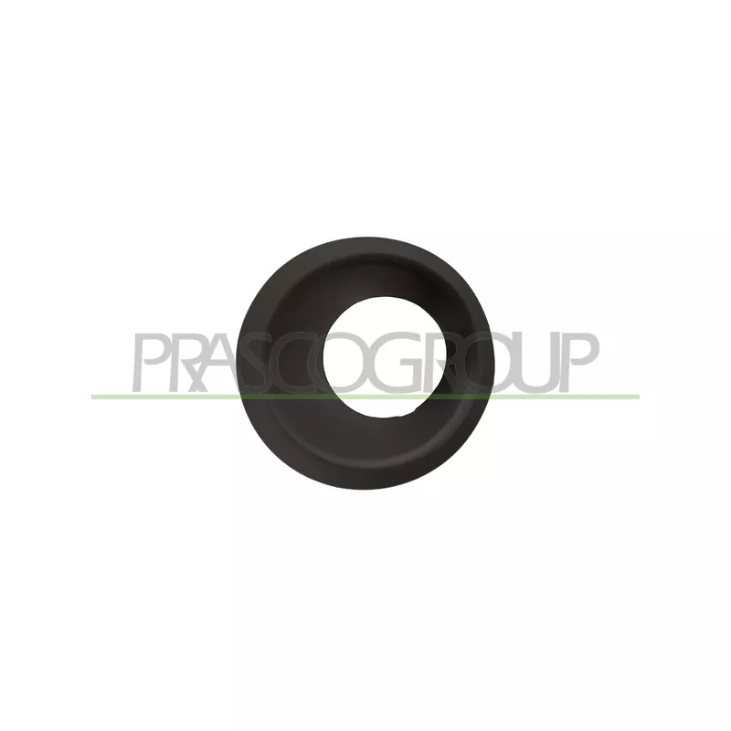 Cadre, projecteur antibrouillard PRASCO LR8021250