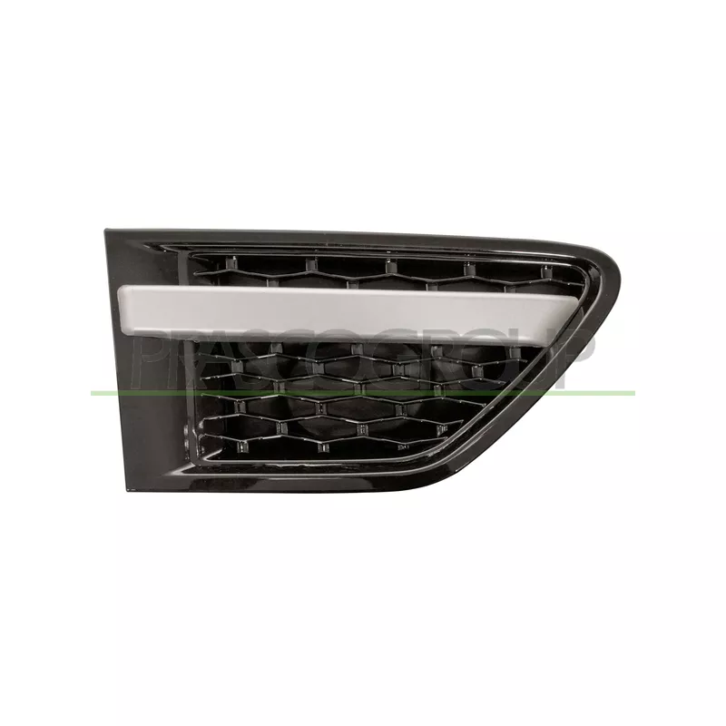 Baguette et bande protectrice, aile avant droit PRASCO LR8021433