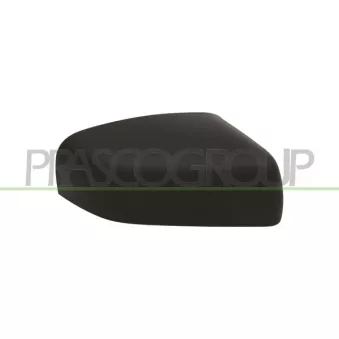 Revêtement, rétroviseur extérieur PRASCO LR8027413