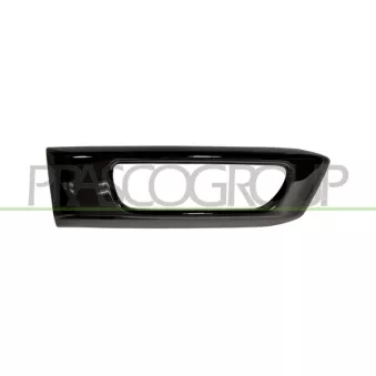 Cadre, projecteur antibrouillard PRASCO LR8041243