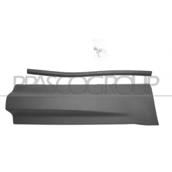 Baguette et bande protectrice, porte arrière droit PRASCO LR8041453