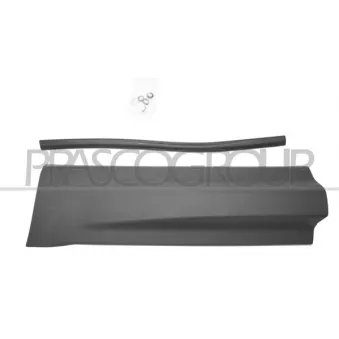 Baguette et bande protectrice, porte arrière gauche PRASCO LR8041454
