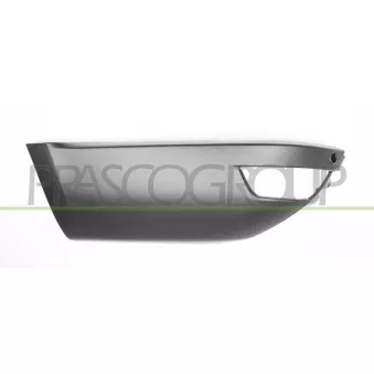 Enjoliveur, pare-chocs arrière gauche PRASCO LR8041854