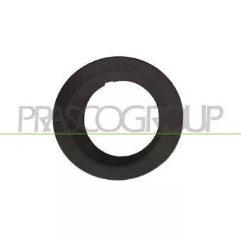 Cadre, projecteur antibrouillard PRASCO LR8621250