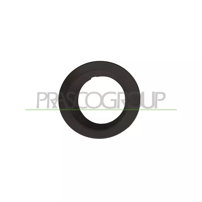 Cadre, projecteur antibrouillard PRASCO LR8621250