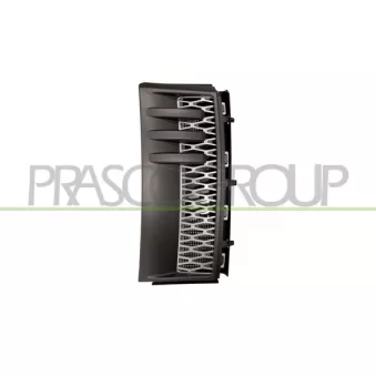 Baguette et bande protectrice, aile avant droit PRASCO LR8641403
