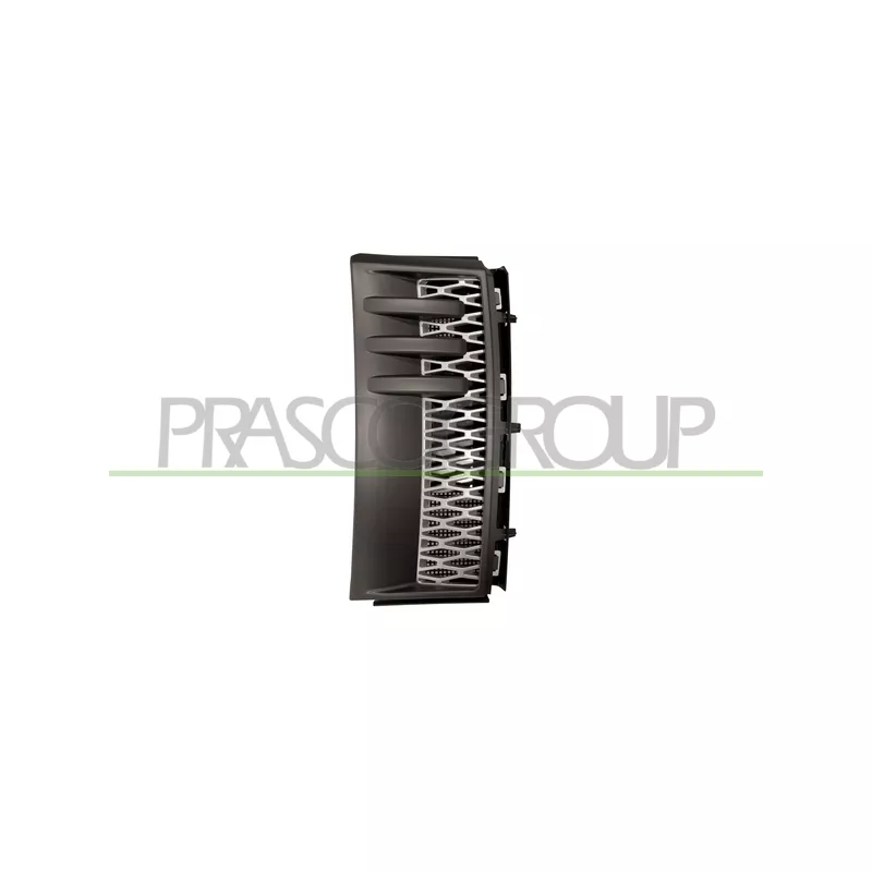 Baguette et bande protectrice, aile avant droit PRASCO LR8641403