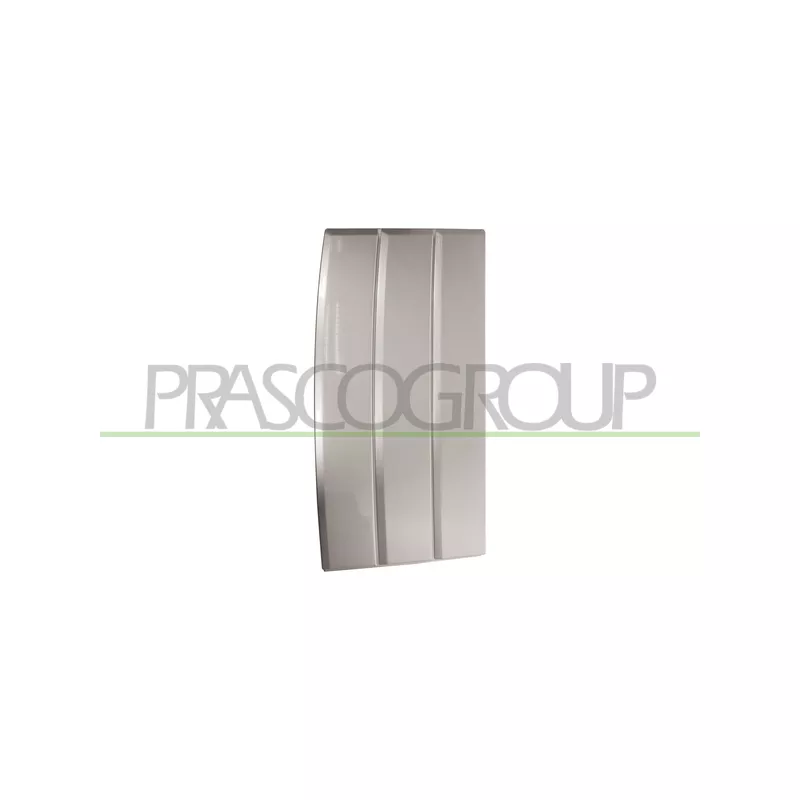 Baguette et bande protectrice, porte avant gauche PRASCO LR8661404