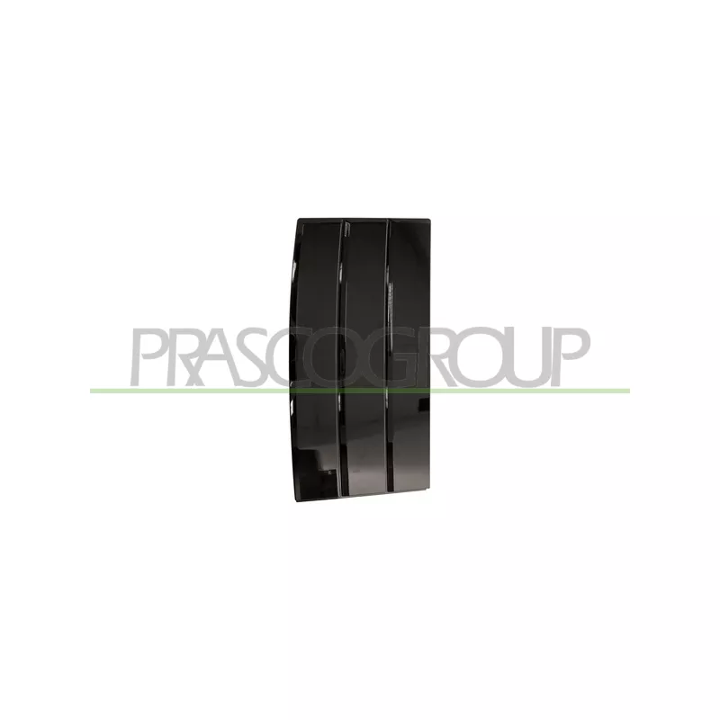 Baguette et bande protectrice, porte avant gauche PRASCO LR8661414