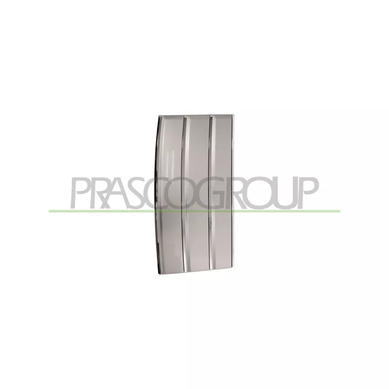 Baguette et bande protectrice, porte avant gauche PRASCO LR8661424