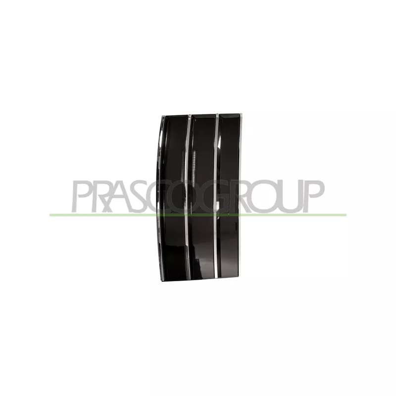 Baguette et bande protectrice, porte avant gauche PRASCO LR8661434