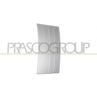 Baguette et bande protectrice, porte avant droit PRASCO