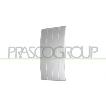 Baguette et bande protectrice, porte avant gauche PRASCO