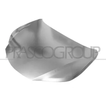 Capot-moteur PRASCO LS7003100