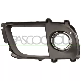 Cadre, projecteur antibrouillard PRASCO MB0151242