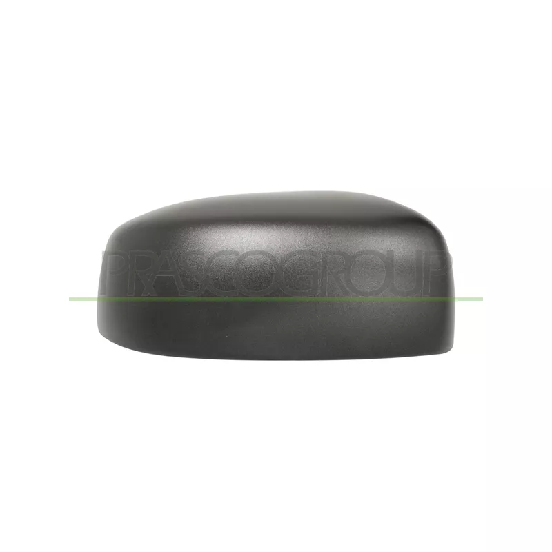 Revêtement, rétroviseur extérieur PRASCO MB1007403
