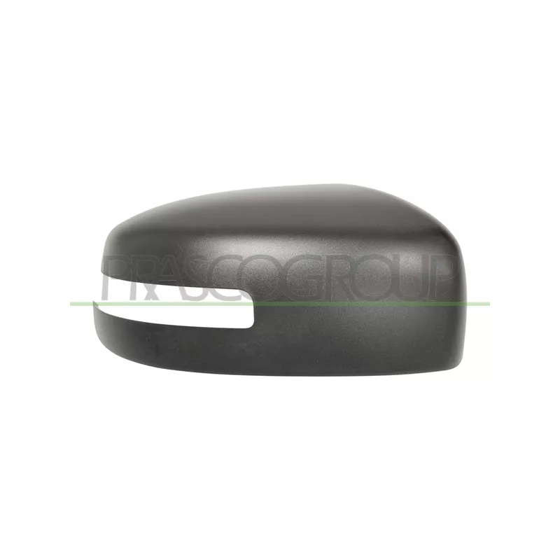 Revêtement, rétroviseur extérieur PRASCO MB1007413