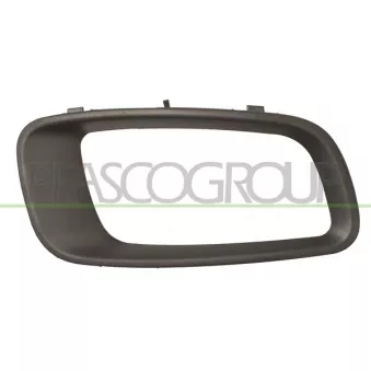 Cadre, projecteur antibrouillard PRASCO MB1591241