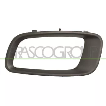 Cadre, projecteur antibrouillard PRASCO MB1591242