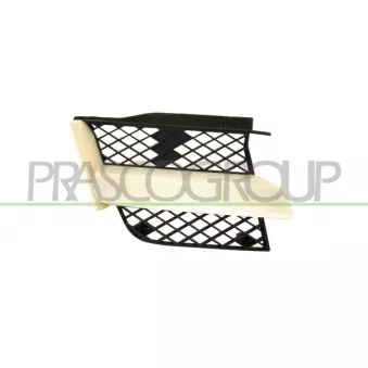 Grille de radiateur PRASCO MB7102003