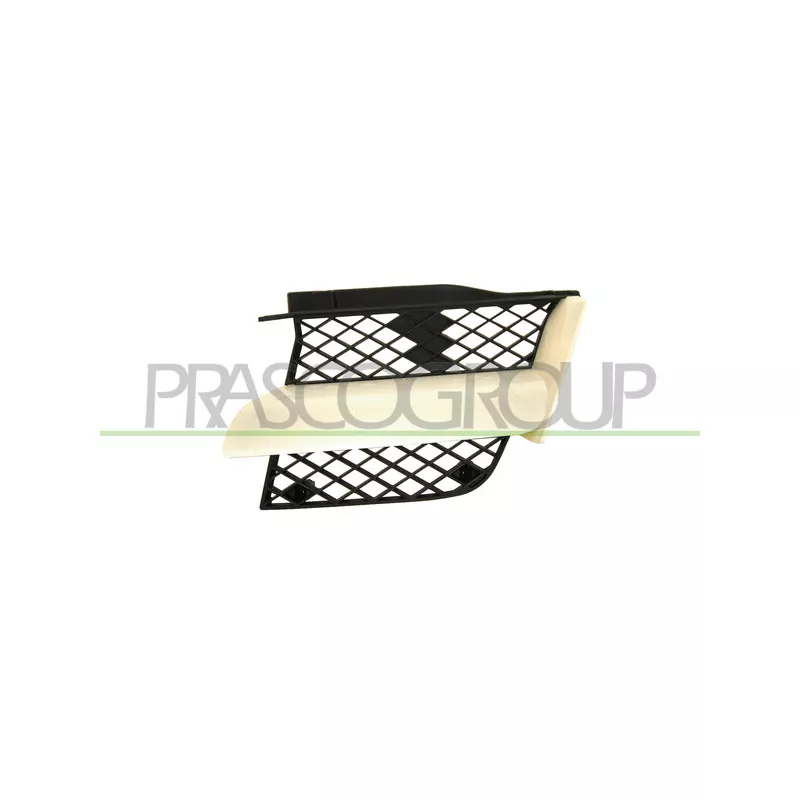 Grille de radiateur PRASCO MB7102004