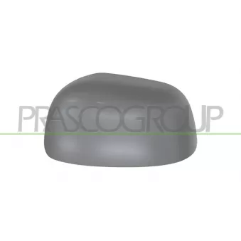 Revêtement, rétroviseur extérieur PRASCO