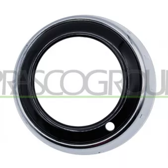 Cadre, projecteur antibrouillard PRASCO MB7161248