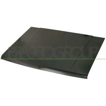 Capot-moteur PRASCO MB8103100