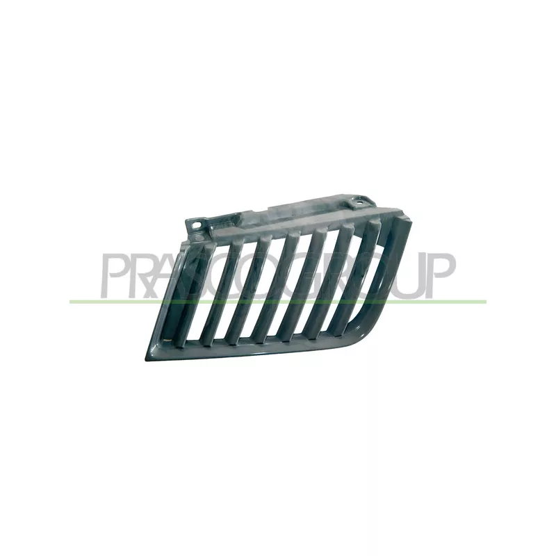 Grille de radiateur PRASCO MB8212003
